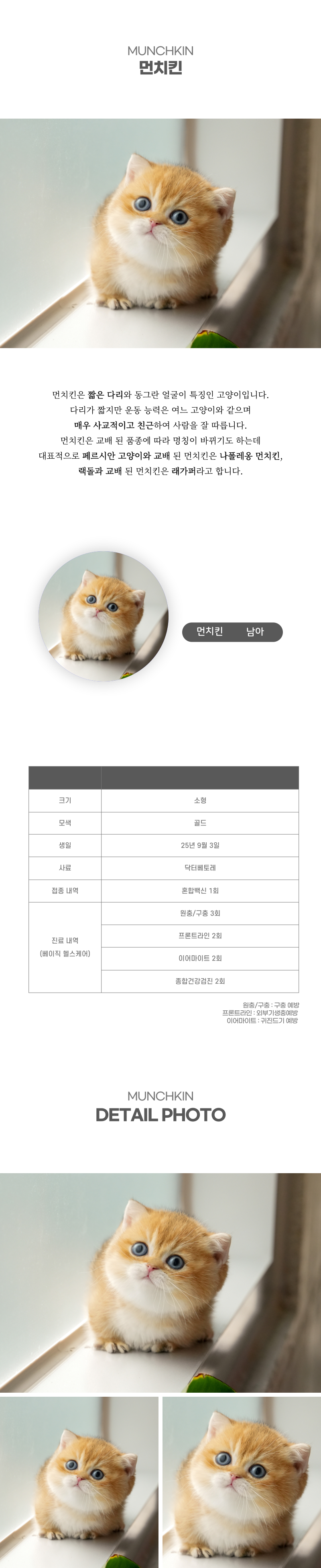 먼치킨_상세이미지_2